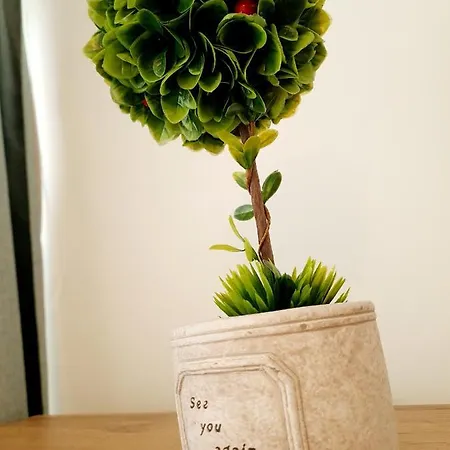 Appartamento Eden Cluj-Napoca