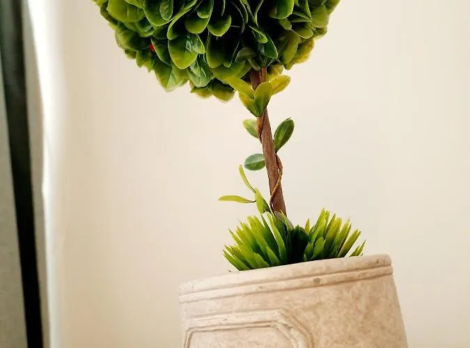 Apartament Eden Cluj-Napoca